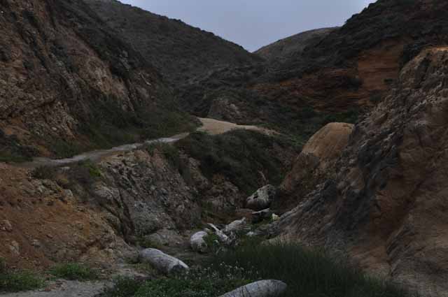 McClure's Beach Trail